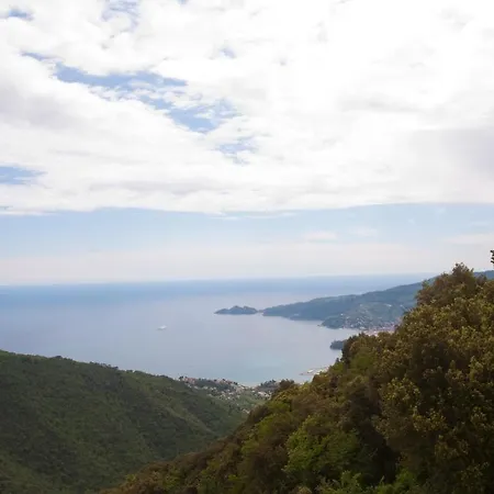 Montallegro 2* Рапалло