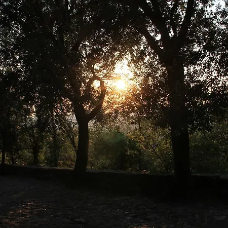 Montallegro 2* 拉帕洛