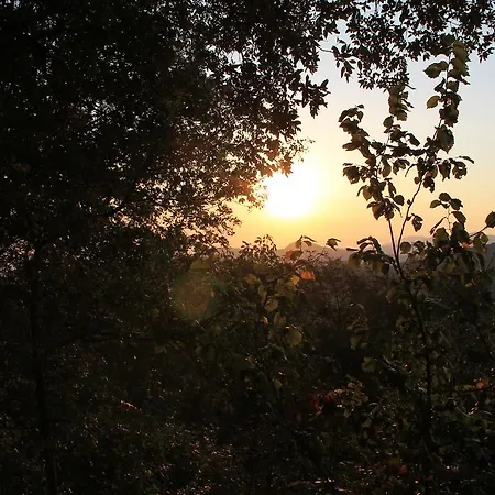 酒店 Montallegro 2*