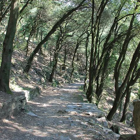 Отель Montallegro