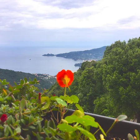 Montallegro מלון ראפאלו