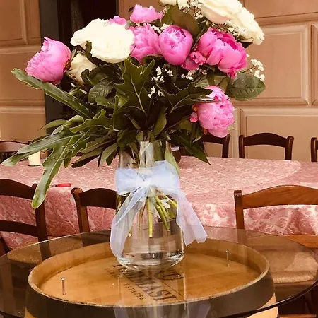 Montallegro 2* ראפאלו