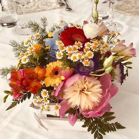 מלון Montallegro ראפאלו