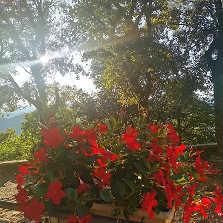 Hotel Montallegro