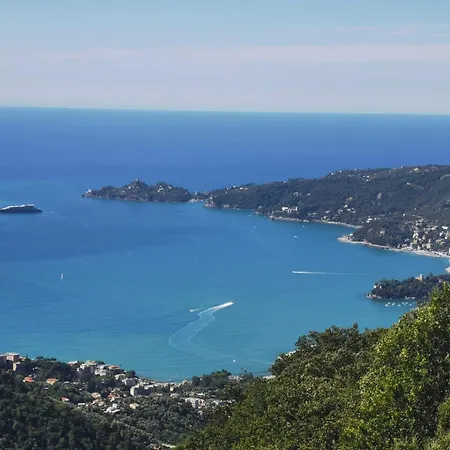 Hotel Montallegro Rapallo