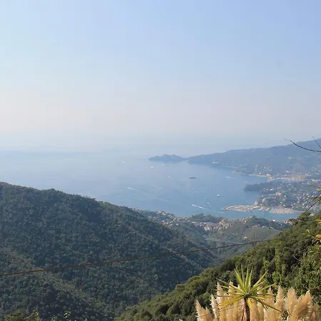 Montallegro 2* Rapallo