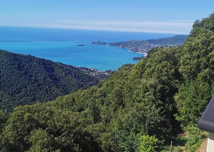 Hotel Montallegro Rapallo