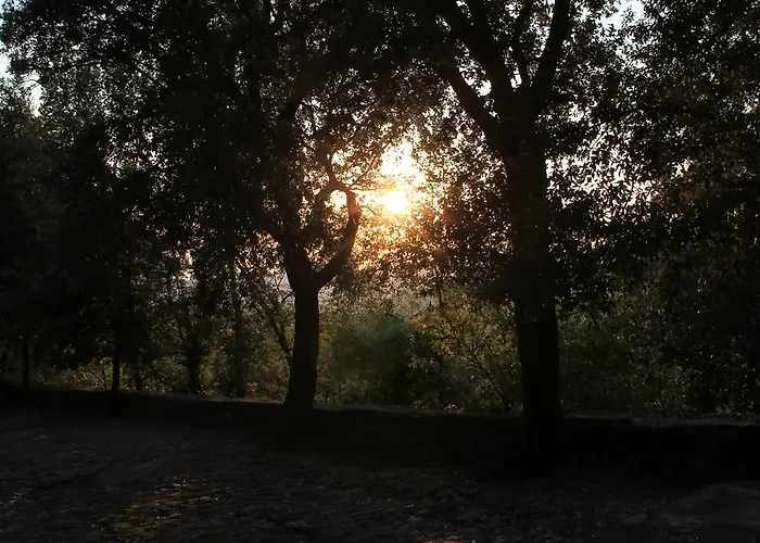 Montallegro 2* Rapallo