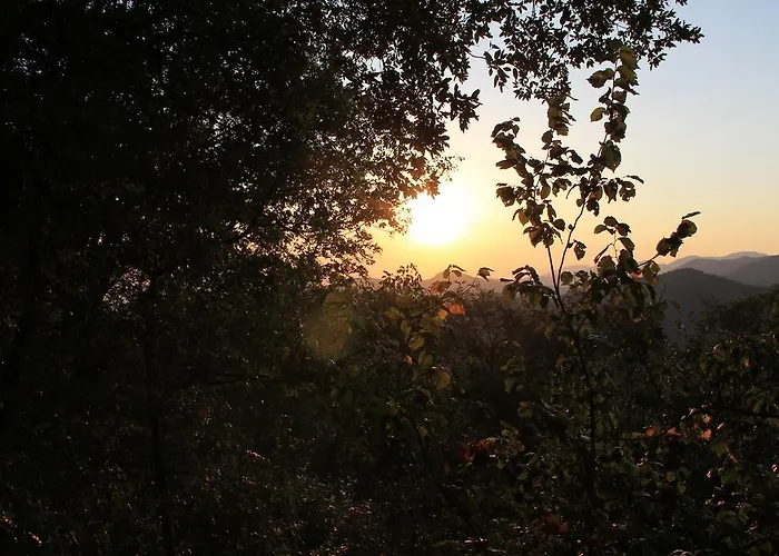 Hotel Montallegro 2*